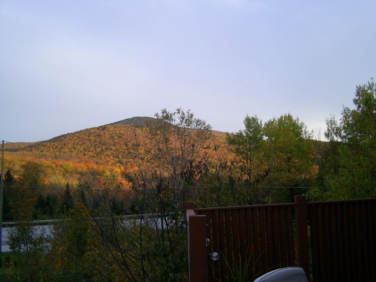 Green Mountain Cabins Killington Dış mekan fotoğraf
